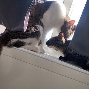 Meet your Posher, Ricki